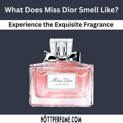 aramis & designer fragrances miss dior|what does aramis smell like.